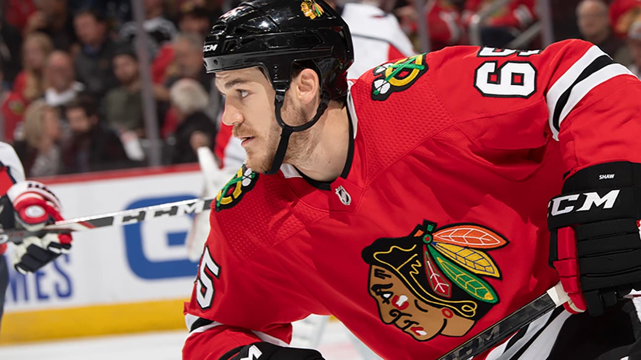 Andrew Shaw