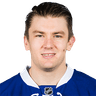 J. van Riemsdyk