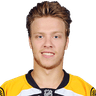 D. Pastrnak