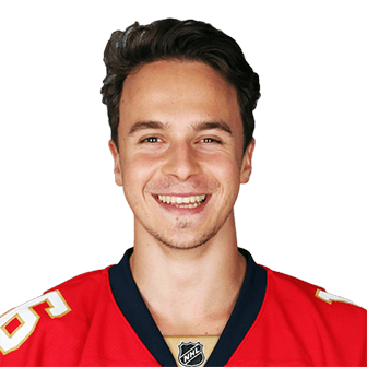 Denis Malgin