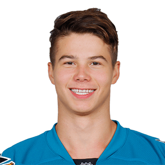 Nikolay Goldobin