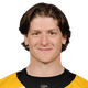 Torey Krug