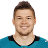 T. Hertl