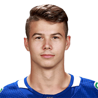 Nikolay Goldobin