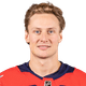 Vitek Vanecek