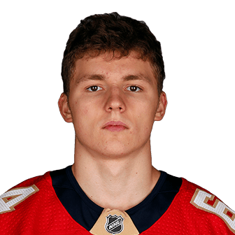 Vladislav Kolyachonok