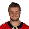 A. Barkov