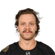 David Pastrnak