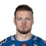 V. Nichushkin
