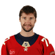 Sergei Bobrovsky