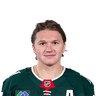 K. Kaprizov