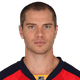 Matt Bradley