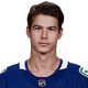 Nikolay Goldobin