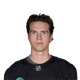 Cale Fleury