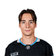 Maxim Barbashev