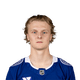 Harrison Meneghin