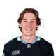 Cole Beaudoin