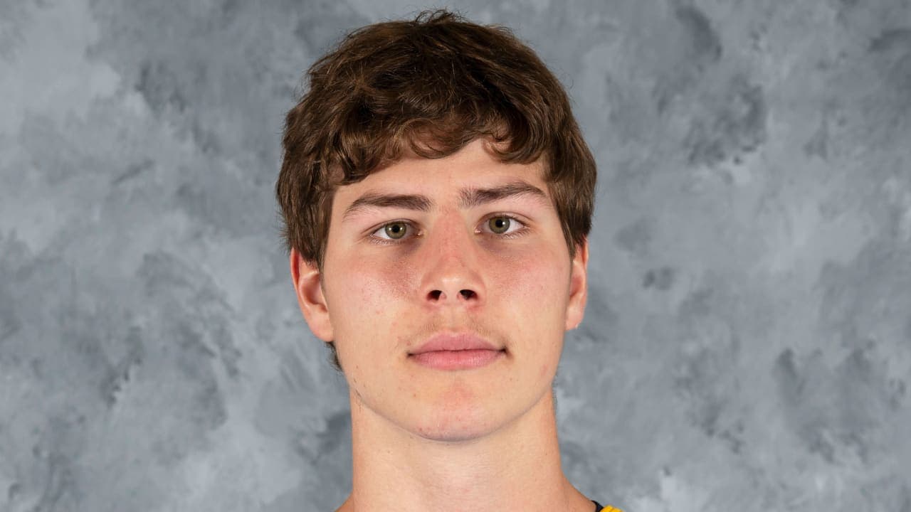 ST. LOUIS, MISSOURI SEPTEMBER 17: Adam Jecho #84 of the St. Louis Blues poses for his official headshot for the 2025-2026 season on September 17, 2025 at the Centene Community Ice Center in St. Louis, Missouri. (Photo by Scott Rovak/NHLI via Getty Images)