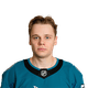 Mattias Havelid