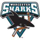 Worcester Sharks