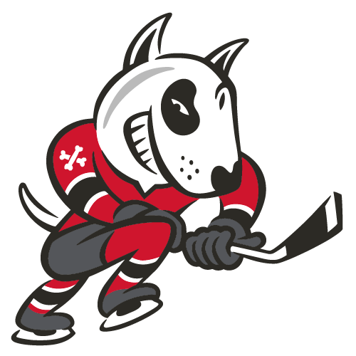 Niagara IceDogs logo